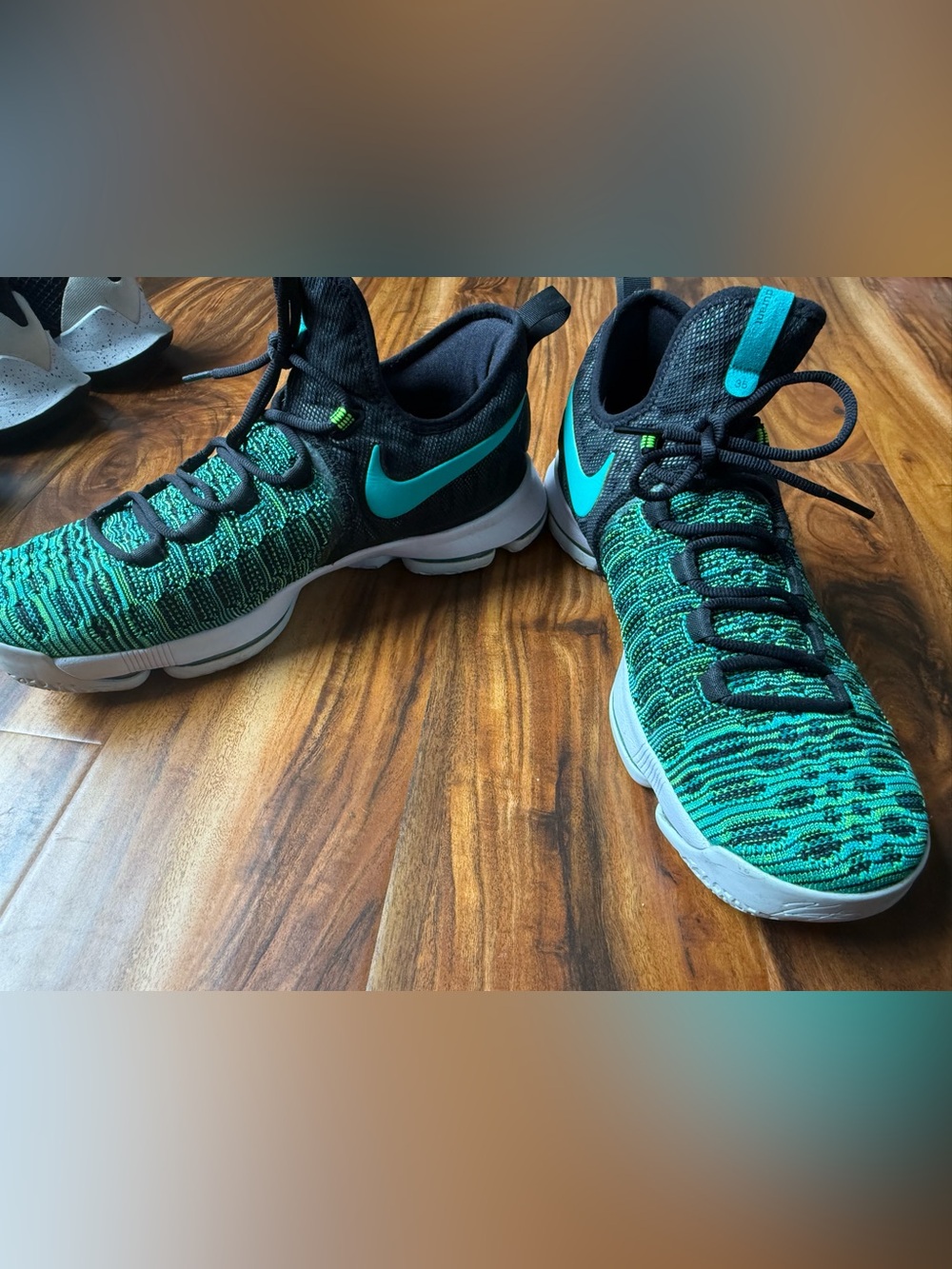 Nike KD 9 "Birds of Paradise" sneakers featuring a Black and Clear Jade color
